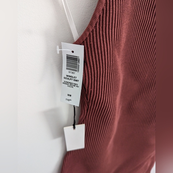 Aritzia Winslet Dress - Picture 3 of 6